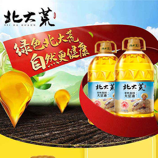 北大荒 非转基因 压榨一级 大豆油5L 商品图2