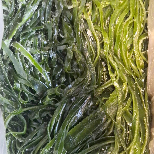 【13.9元/件】整件海带丝（约4.5斤）（1500847） 商品图0