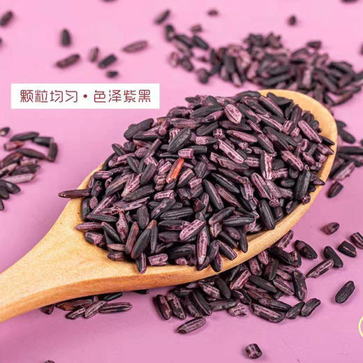 云南墨江紫米  （1斤*2袋普通装/1斤*5袋礼盒装) 商品图2