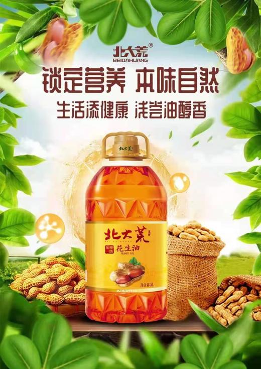 北大荒 非转基因 物理鲜榨 花生油5L 商品图2