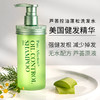 【头皮“营养液”】温和清洁清爽控油去屑止痒强韧秀发植物调理呵护毛囊无水配方芦荟原液基底芦荟控油洗发水 商品缩略图0