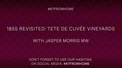1855 Revisited: Tete de Cuvée vineyards 商品图0