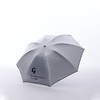 TERRAINCOGNITA钛银防紫外线反光遮阳伞全自动潮流百搭情侣雨伞 商品缩略图0