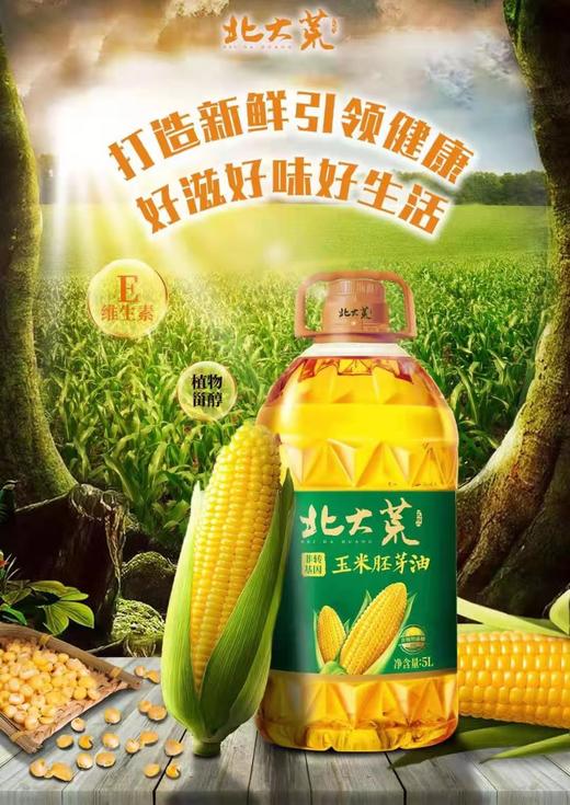 北大荒 非转基因 鲜榨 纯正玉米胚芽油5L 商品图0