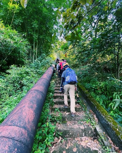 户外@勇登增城第一高峰—牛牯嶂,行走广州第一峰登山徒步路线1天  【每周六日出发】特惠89元 商品图0