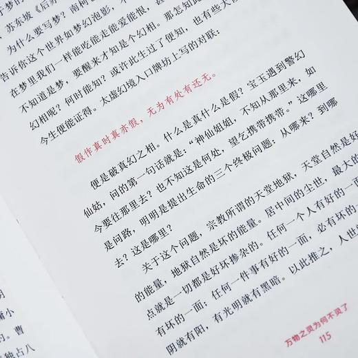 石头问道：刘希彦解读红楼梦 商品图4