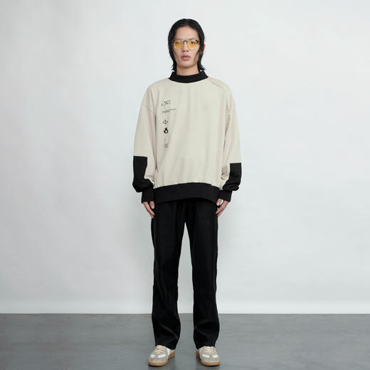 TERRAINCOGNITA20AW G系列潮流宽松百搭刺绣廓形金属套头卫衣男女 商品图0