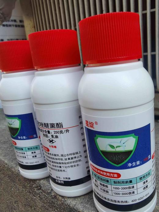 吡唑醚菌酯乳油250克/升广谱杀菌剂 商品图1