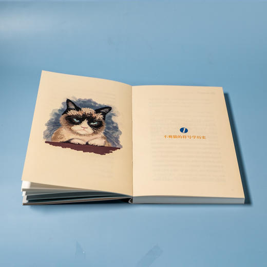 《“猫”眼看世界：一部互联网文化史》 商品图5