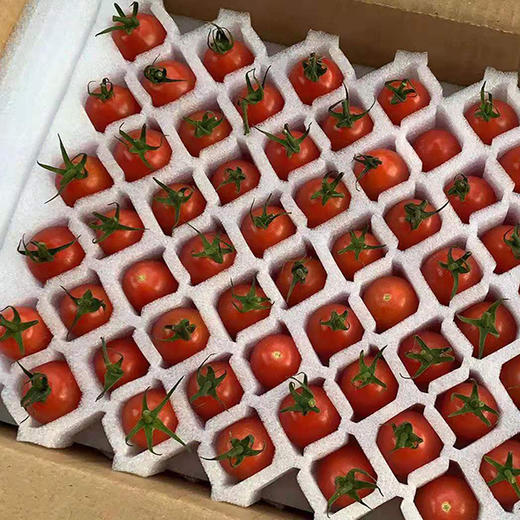 千禧圣女果   4斤装（珍珠棉+彩印礼盒） 商品图2