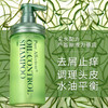【头皮“营养液”】温和清洁清爽控油去屑止痒强韧秀发植物调理呵护毛囊无水配方芦荟原液基底芦荟控油洗发水 商品缩略图1