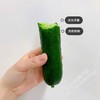 清脆爽口小黄瓜 1根 商品缩略图0