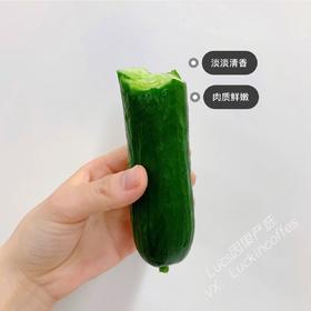 清脆爽口小黄瓜 1根