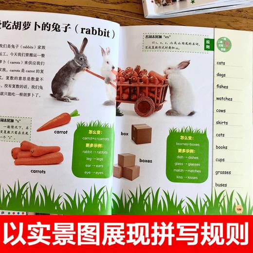 小学生英语基础入门全三册漫画图解二三四五年级全国通用儿童自然拼读重点攻关一学就会一看就懂语法词汇拼写专项练习册大全 商品图3