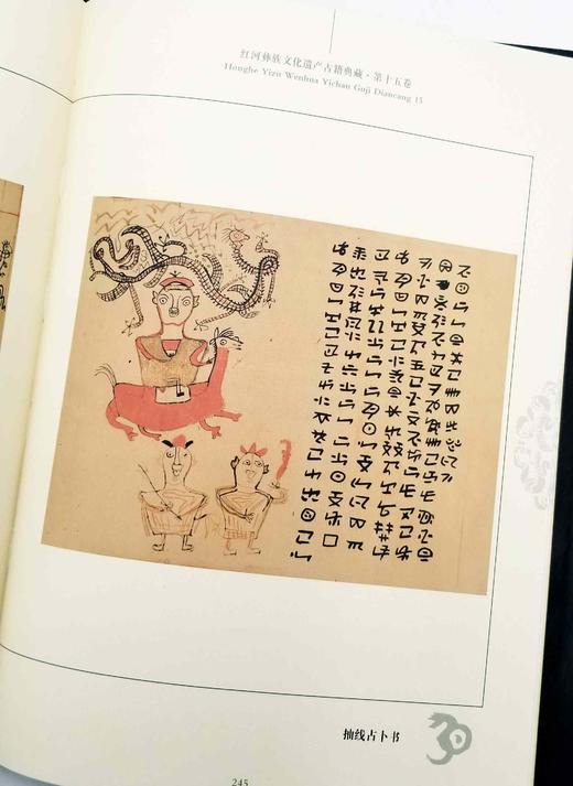 《红河彝族文化遗产古籍典藏》（20册） 商品图12