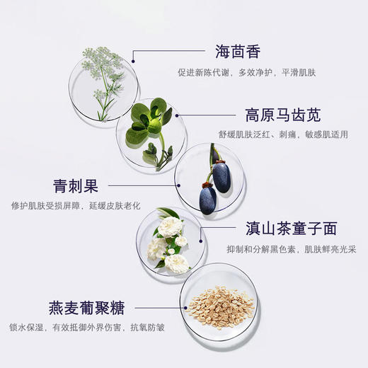 婕珞芙 特里亚侬7+1面膜 海茴香多效精华修复面膜[福利品] 商品图3