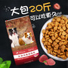 牛肉益生元20斤 全犬期通用粮 强骨护胃 商品缩略图6