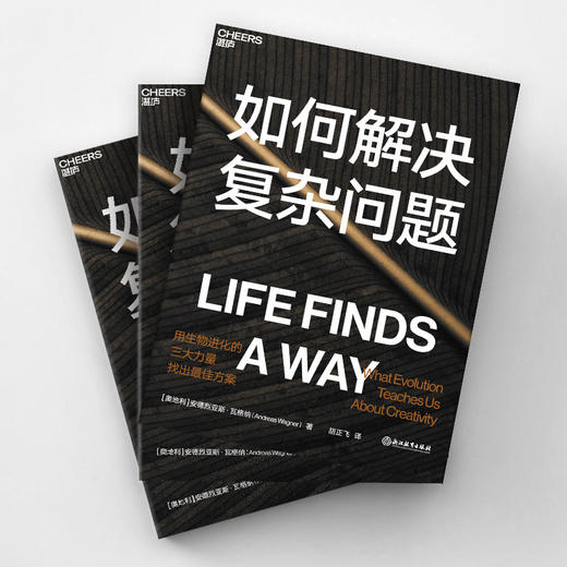 湛庐┃ 如何解决复杂问题 商品图1