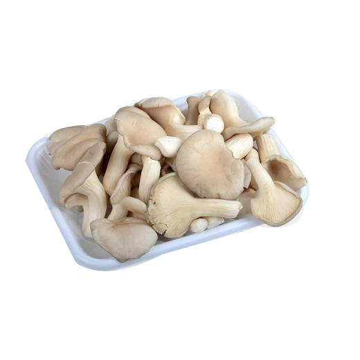 秀珍菇300g