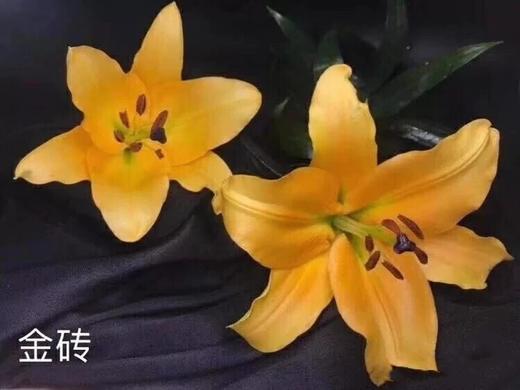 昆明直发2人团金砖黄色香水百合京东空运顺丰空运全国大部分地区包邮