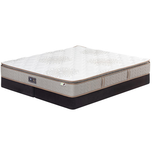 Sealy丝涟床垫  Persistence 锐意 商品图2