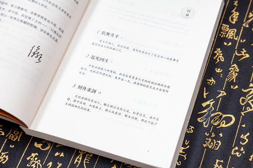 徐文兵：明哲保身 商品图3