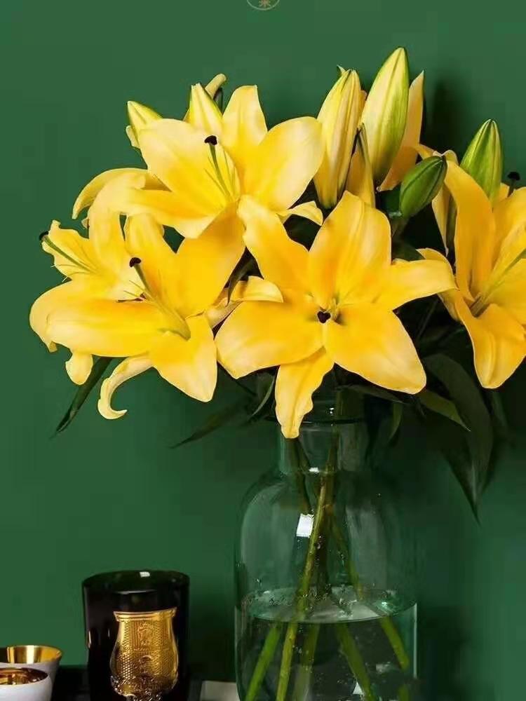 昆明直发2人团金砖黄色香水百合京东空运顺丰空运全国大部分地区包邮