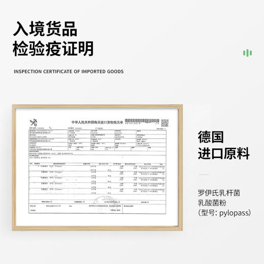 【德国进口原料LOFR口气珠抗幽率99.97%】L'OFR罗伊氏乳杆菌爆珠接吻糖3秒爆珠满嘴薄荷香从源头清新口气  【新款盒装】（赠防疫大礼包） 商品图4