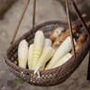 山野食材·临安天目山纯野生雷笋 舌尖中国2推荐核心产区 春天菜王 商品缩略图3