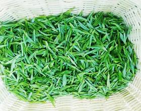  又逢一年春茶时丨这一味鲜爽纯净，让一众茶友倾心! 