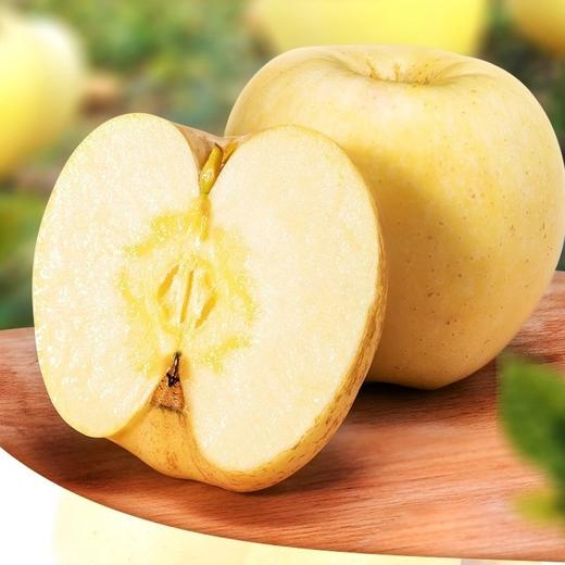 维纳斯黄金苹果 （非奶油富士）4- 4.5斤 商品图0
