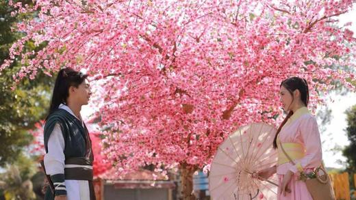 深圳东部湾桃花岛浪漫航海之旅 商品图1