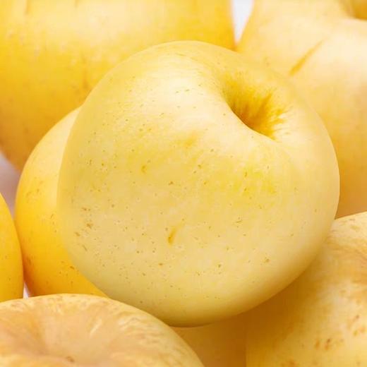 维纳斯黄金苹果 （非奶油富士）4- 4.5斤 商品图5