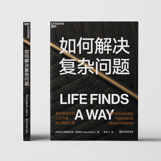 湛庐┃ 如何解决复杂问题 商品图2
