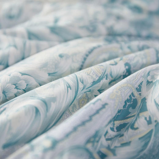 云柔天丝可水洗波兰白鹅绒三件套 迪恩花园 商品图2