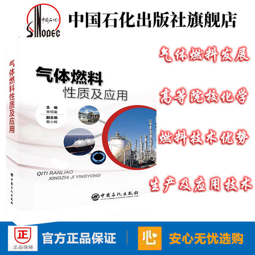 【旗舰店】气体燃料性质及应用 天然气、煤层气、生物质沼气、液化石油气、氢气 宋绍富主编 中国石化出版社 9787511452559 商品图1