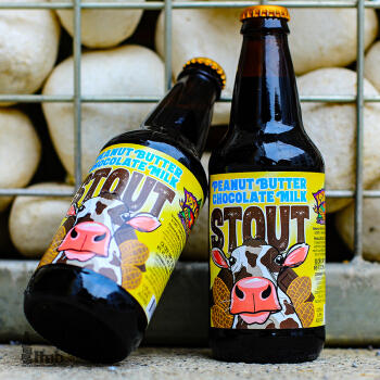 【六瓶】迷失海岸花生酱巧克力牛奶世涛啤酒 美国原瓶进口 355ml*6瓶 酒精度5.6度 麦芽汁浓度13.8度 商品图3