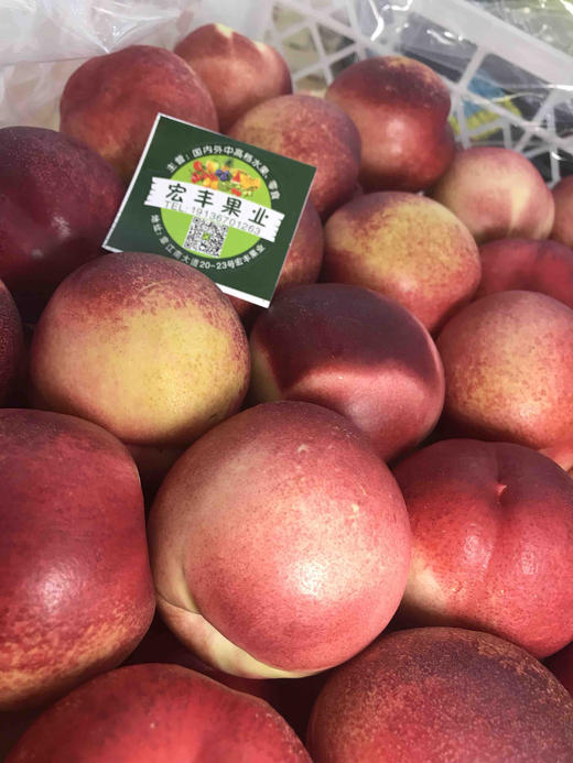 宏丰精选澳洲进口油桃驳桃李口感脆甜