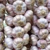 大蒜每公斤 商品缩略图0