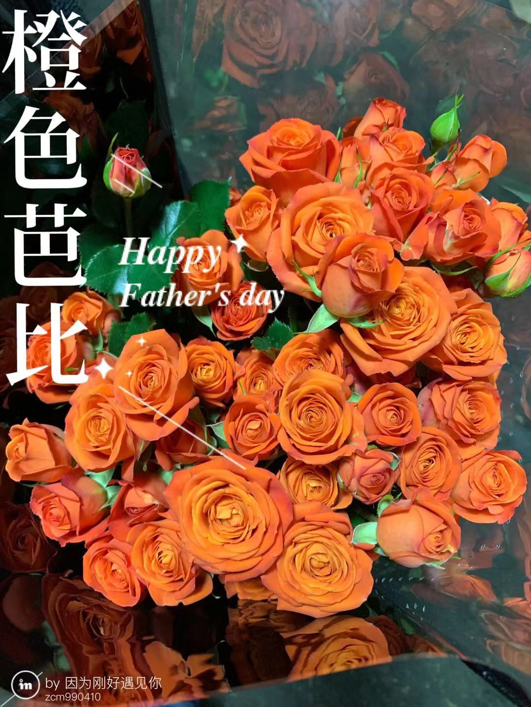 多头玫瑰·橙色芭芘