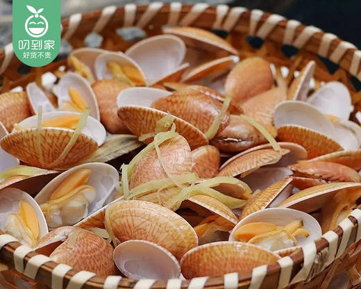 【叼鲜】鲜活油蛤/1份（约500g，约80-90个） 商品图1