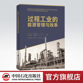 【旗舰店】过程工业的能源管理与效率 石油化工过程工业能耗基准能源管理标准工业能效技术加热炉锅炉能效换热器工程热力学