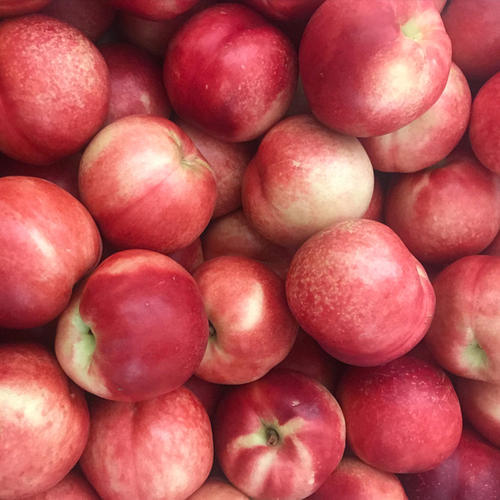 智利油桃进口桃子脆甜香甜蜜桃孕妇水果单果150克左右