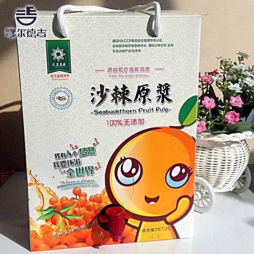 沙棘原浆2L 商品图0