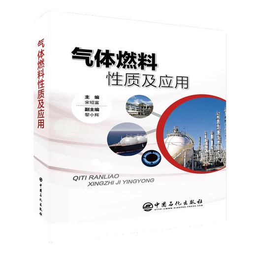 【旗舰店】气体燃料性质及应用 天然气、煤层气、生物质沼气、液化石油气、氢气 宋绍富主编 中国石化出版社 9787511452559 商品图2