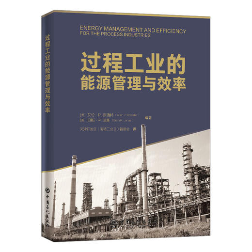 【旗舰店】过程工业的能源管理与效率 石油化工过程工业能耗基准能源管理标准工业能效技术加热炉锅炉能效换热器工程热力学 商品图1