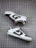 NK Dunk SB LOW Atlas 35MM
黑灰水晶 商品缩略图4