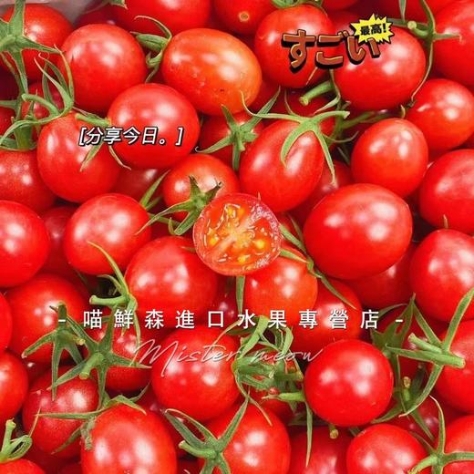 🛵沙地 千禧果高糖喜柿🍅爆浆小番茄 1kg 商品图5