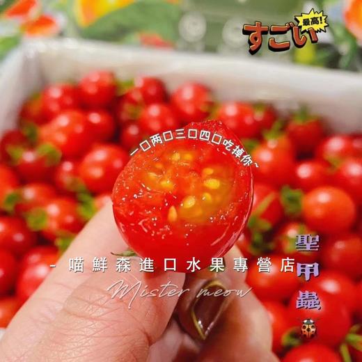 🛵沙地 千禧果高糖喜柿🍅爆浆小番茄 1kg 商品图4