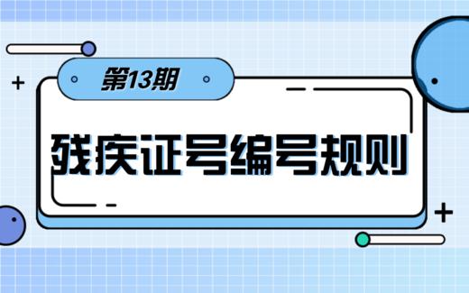 【科普】第7期 残疾证号的编号规则 商品图0
